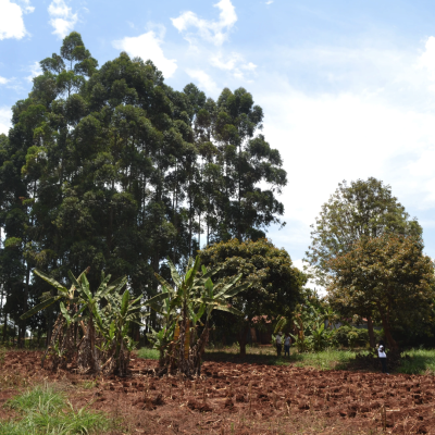 Matumaini-hope-for-children-41